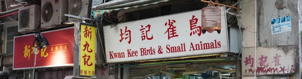 HK Trip 2025