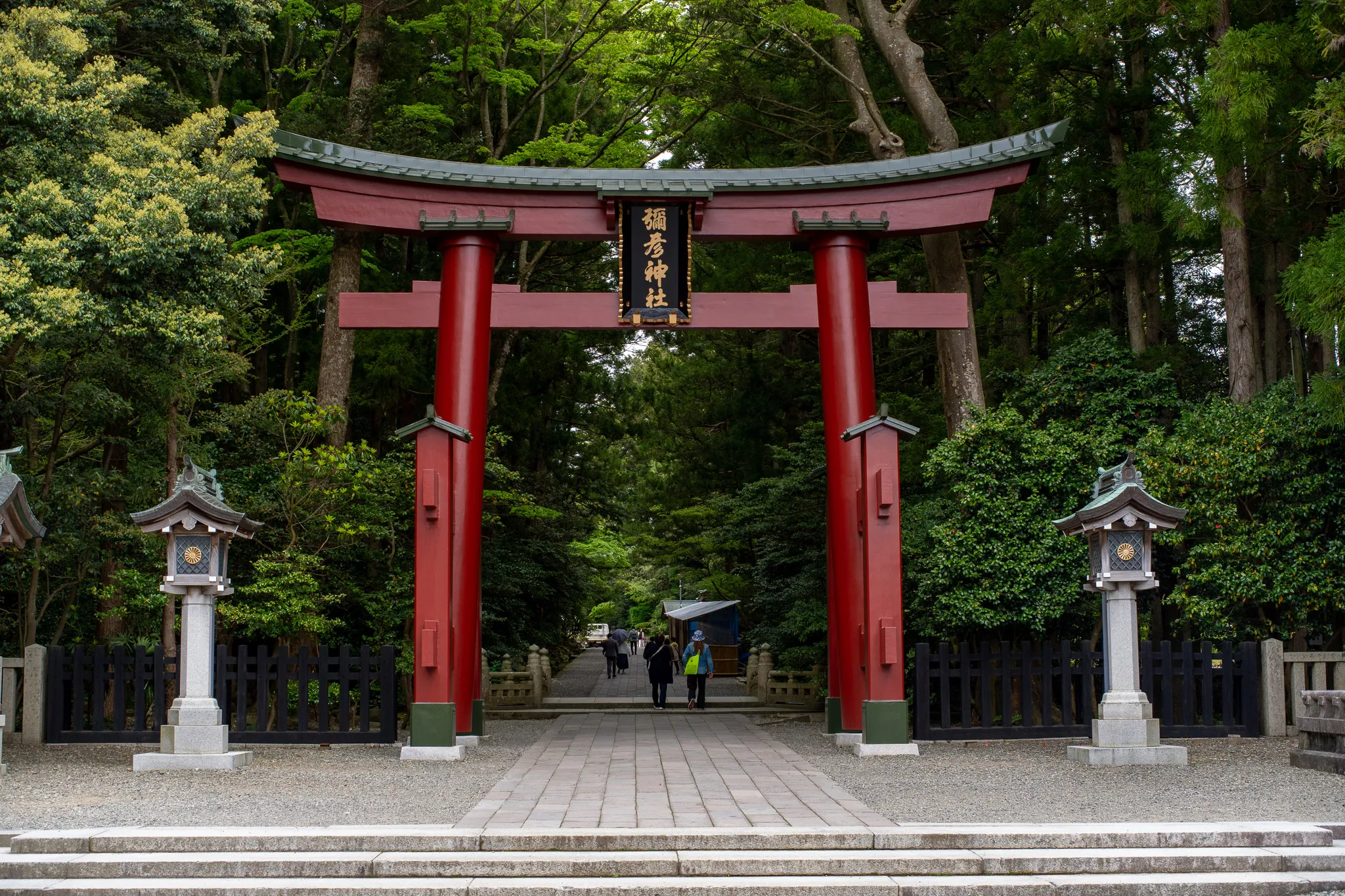 D3 - Yahiko